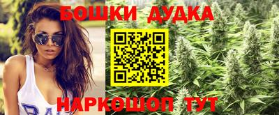 мдпв Гай