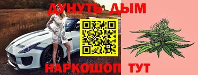 амф Гатчина