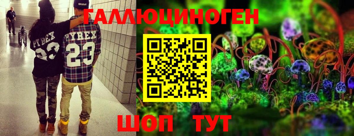 Галлюциногенные грибы GOLDEN TEACHER  Псилоцибиновые грибы ЛСД  Вход с VPN  Долгопрудный 