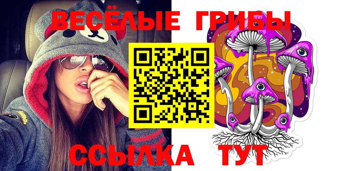Галлюциногенные грибы Psilocybine cubensis Долгопрудный
